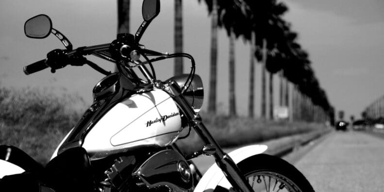 Black and white photo of Harley Davidson on street lined with palm trees