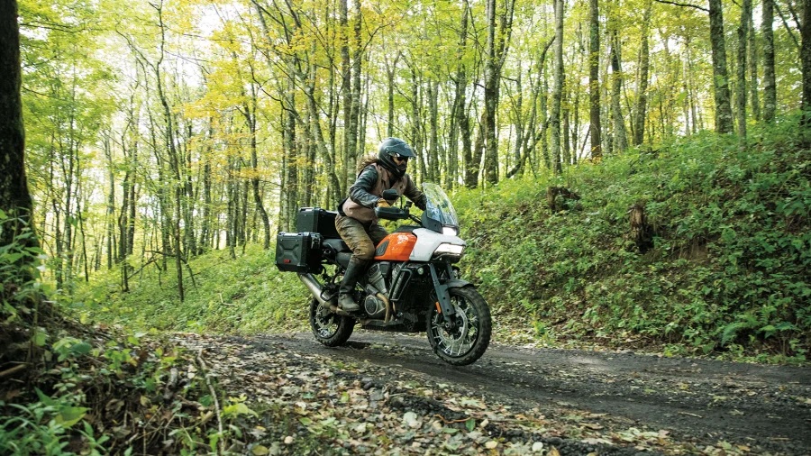 A view of a Harley-Davidson Pan America light footing through the forest like a speedy roadrunner
