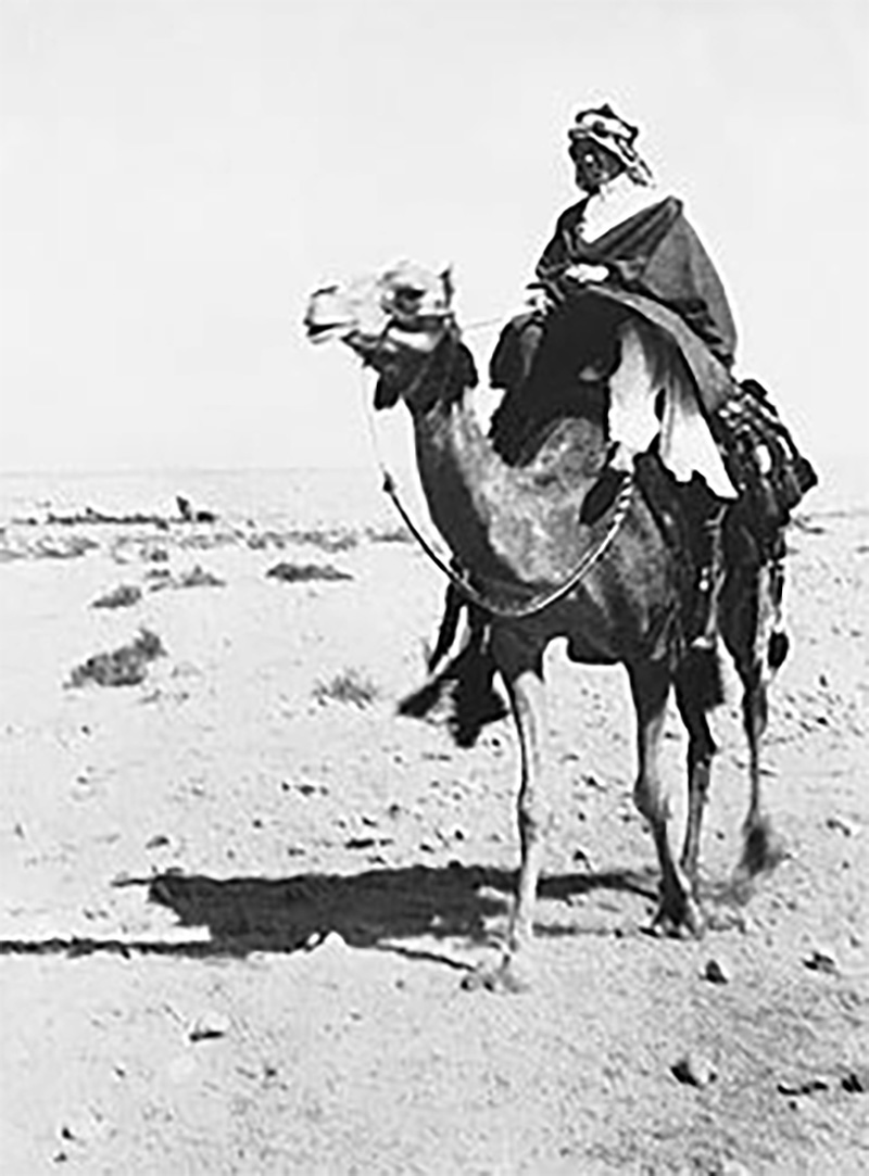 TE Lawrence on a camel in the Arabian Desert