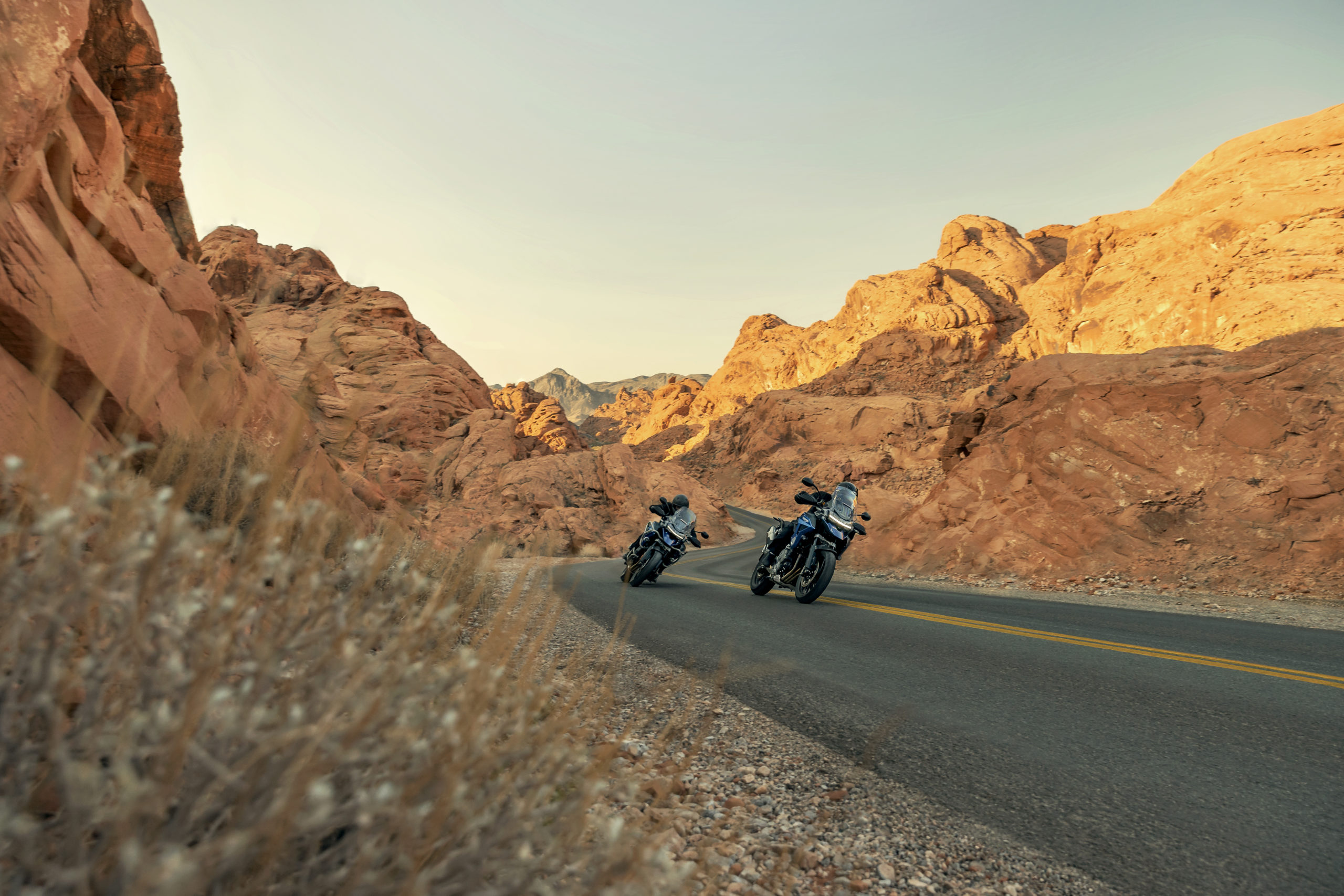 A view of the all-new Triumph Tiger 1200 range, now available from select dealerships. Including the GT, GT Pro, GT Explorer, Rally Pro and Rally Explorer A view of the all-new Triumph Tiger 1200 range, now available from select dealerships. Including the GT, GT Pro, GT Explorer, Rally Pro and Rally Explorer