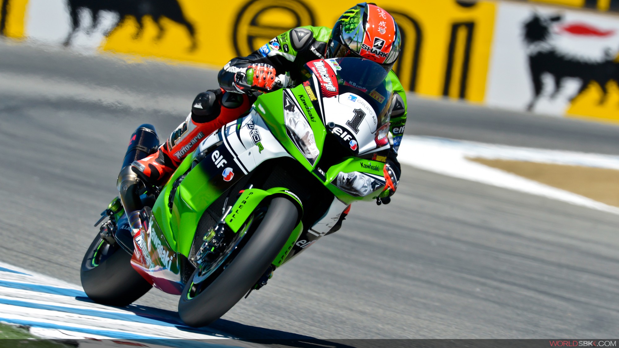 The WSBK Kawasaki ZX10r Racing-Morrad (Team Pedercini Racing)