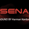 A view of the Sena logo, against a matching backscape