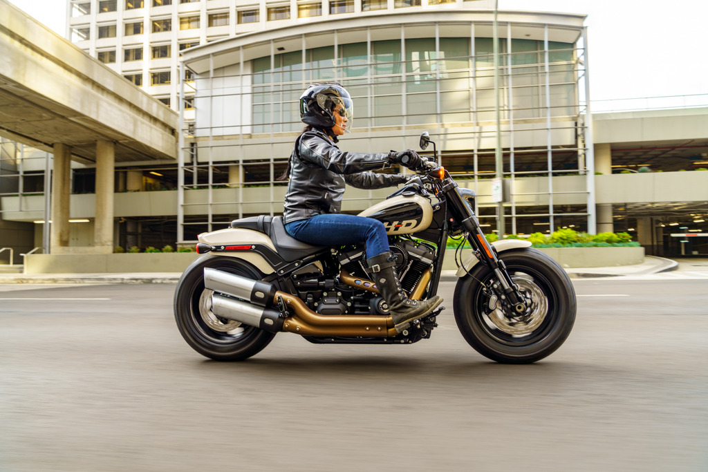 2022 Harley Davidson Fat Bob 114 in White Sand Pearl