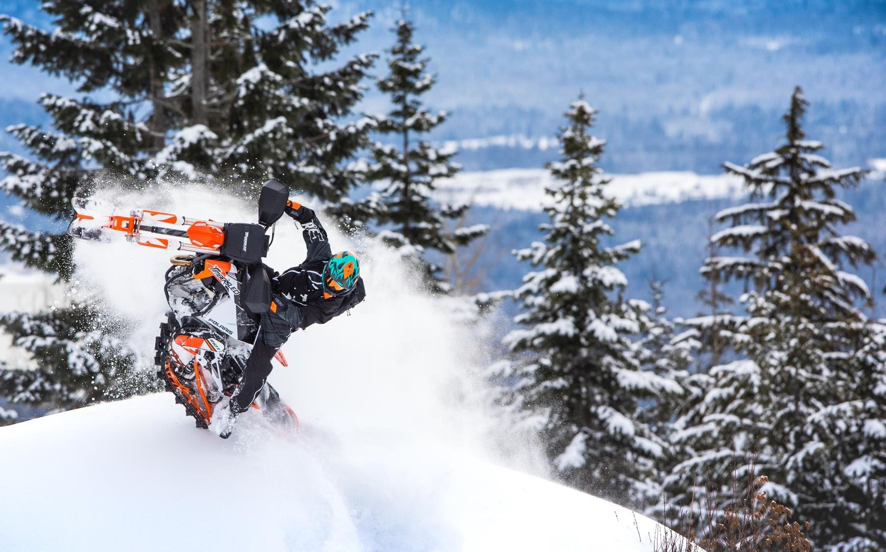 A view of the timber sled kits available for dirt bikes to romp in snow-filled winter seasons