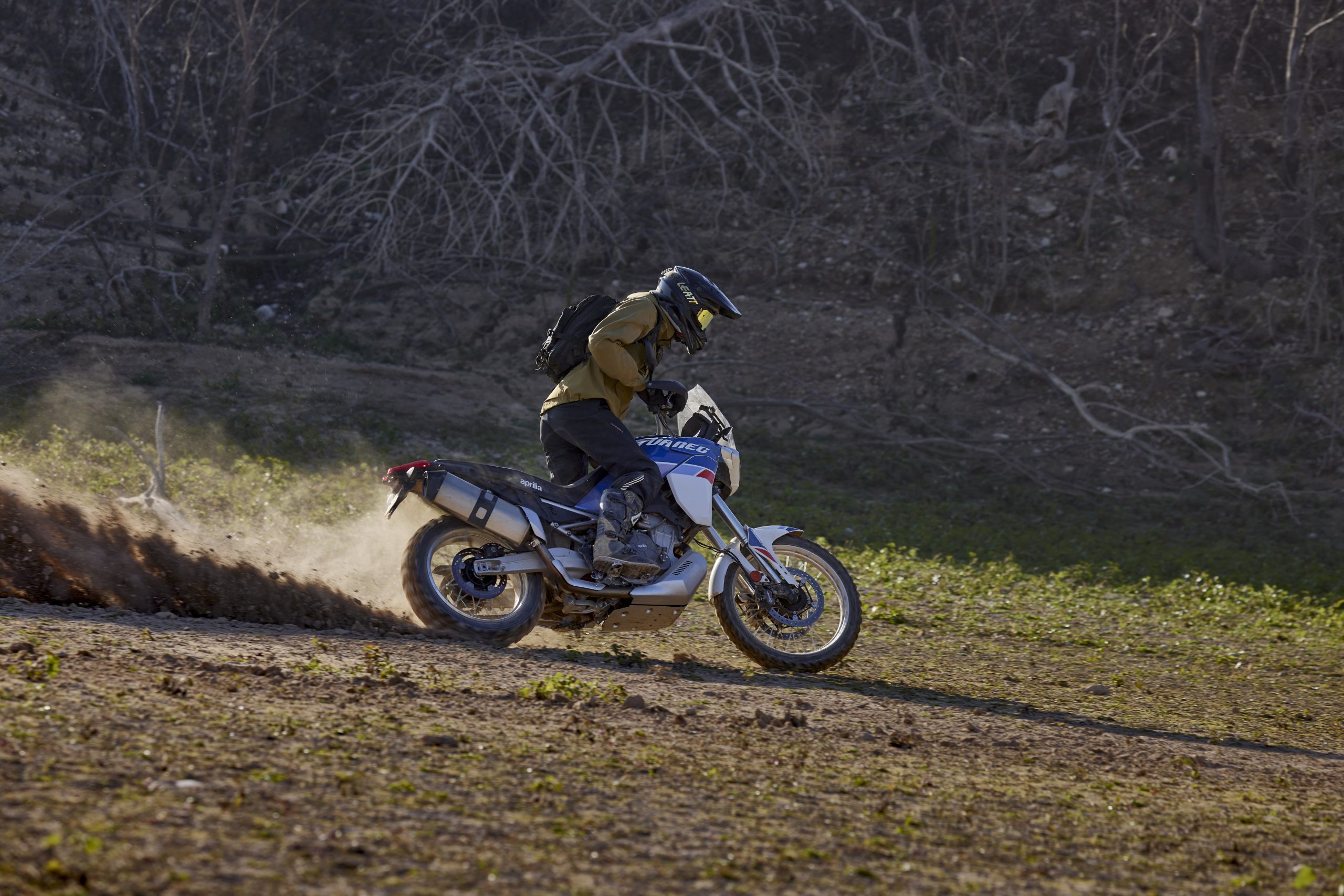 Aprilia Tuareg 660 Arrives in Australia - webBikeWorld Aprilia Tuareg 660 Arrives in Australia - webBikeWorld