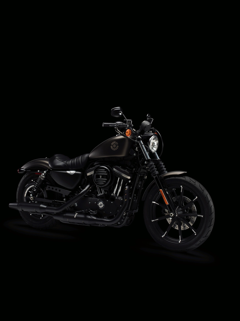 2022 Harley Davidson Iron 883