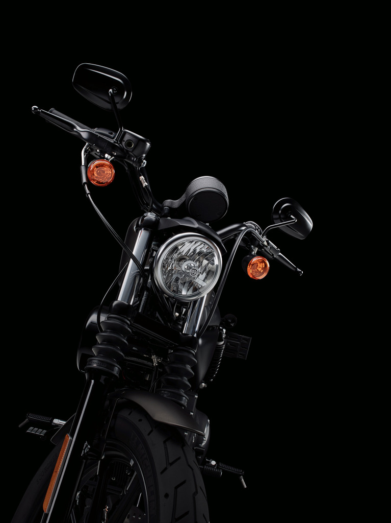 2022 Harley Davidson Iron 883