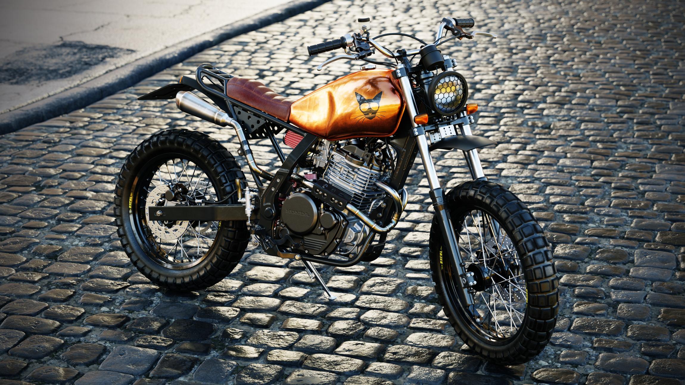 The 'Street Cat #1: A custom NX650 Dominator mod 