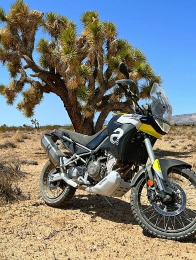 The 2022 Aprilia Tuareg 660 by a Joshua Tree in Mojave, California.