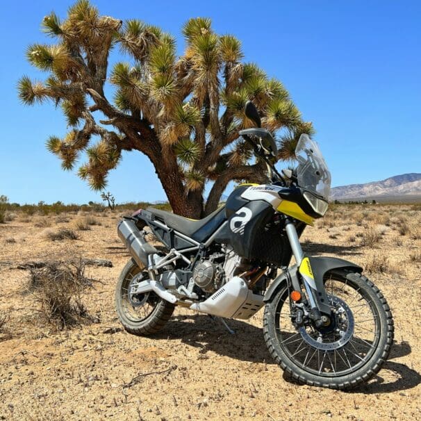 The 2022 Aprilia Tuareg 660 by a Joshua Tree in Mojave, California.