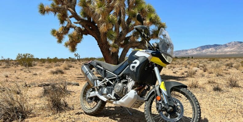 The 2022 Aprilia Tuareg 660 by a Joshua Tree in Mojave, California.