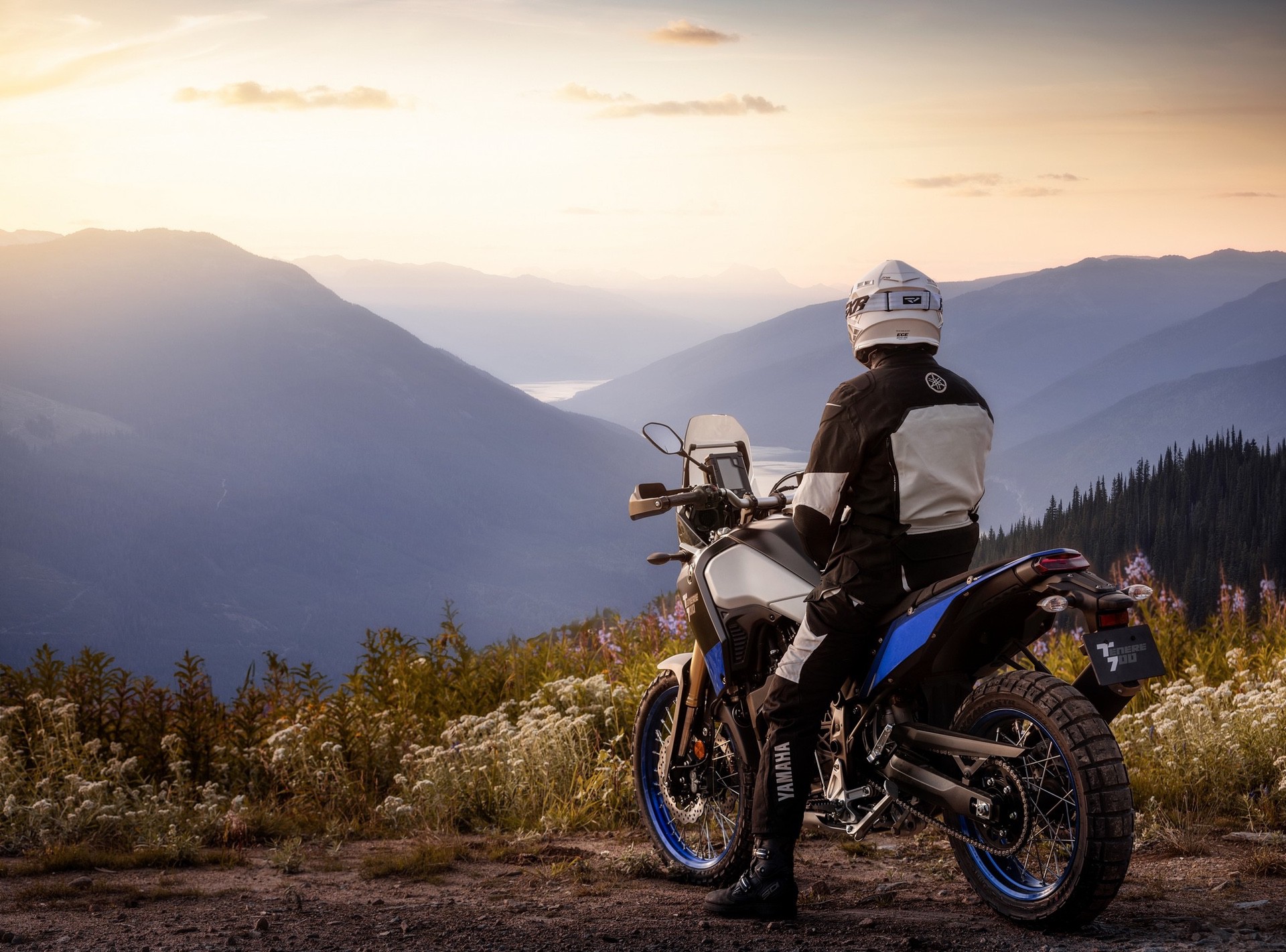 Rider on adventure bike off-roading in forest