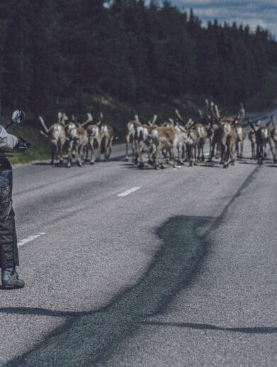 2022 Husqvarna Norden 901