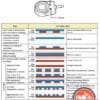 Diagram showing LED status displays for Kenwood STZ-RF200WD Dual Camera System