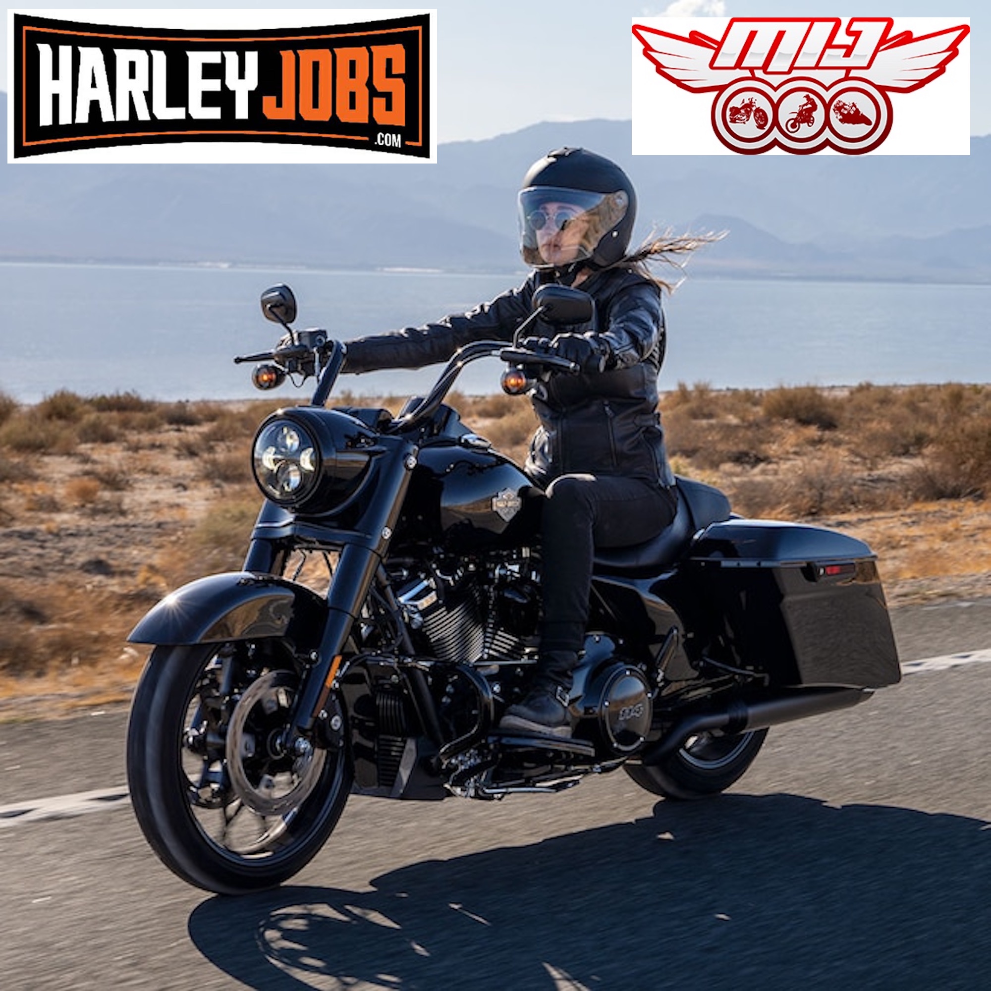 A Harley rider. Media sourced from CycleNews and H-D's website. 