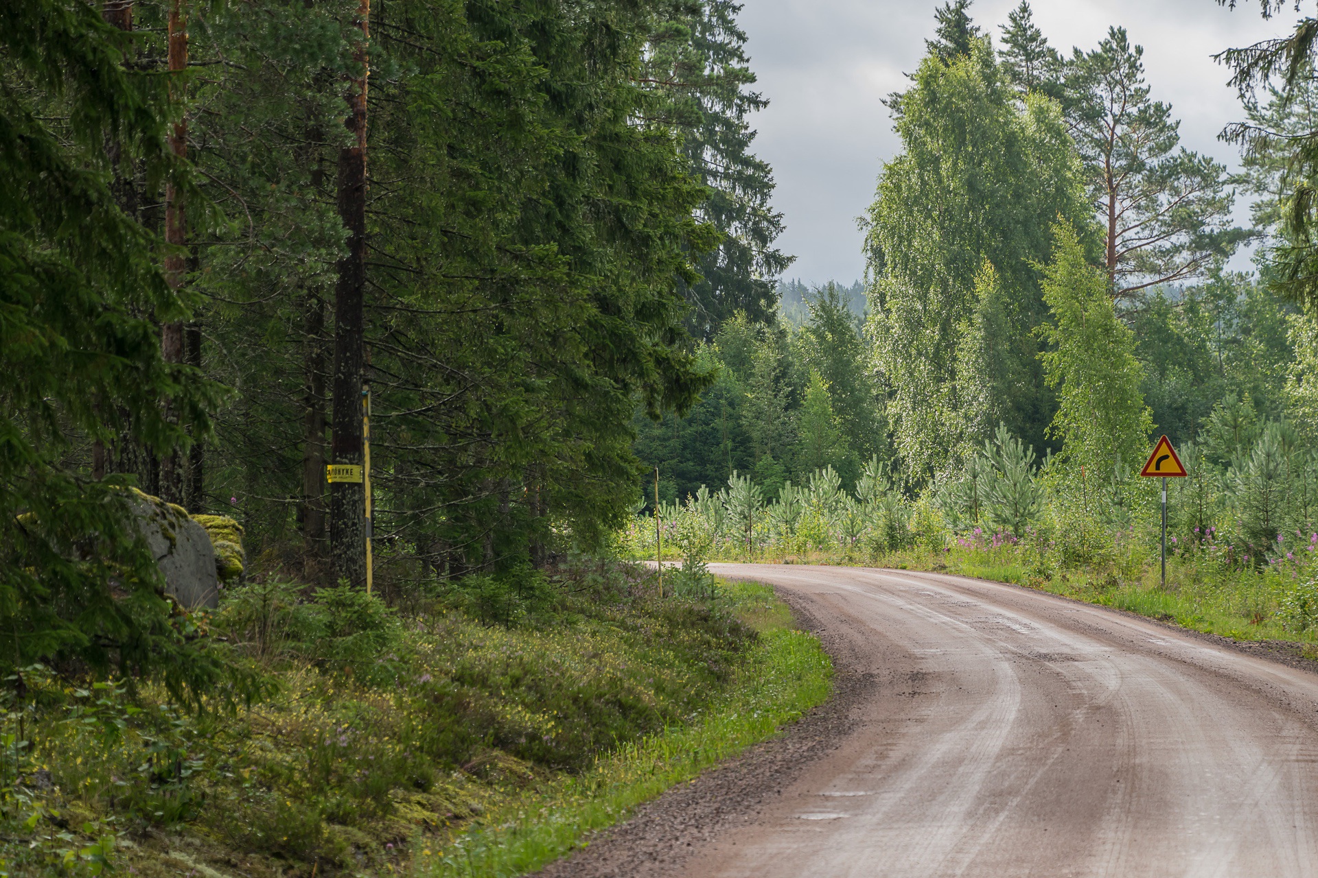 Typical forest road in Finland