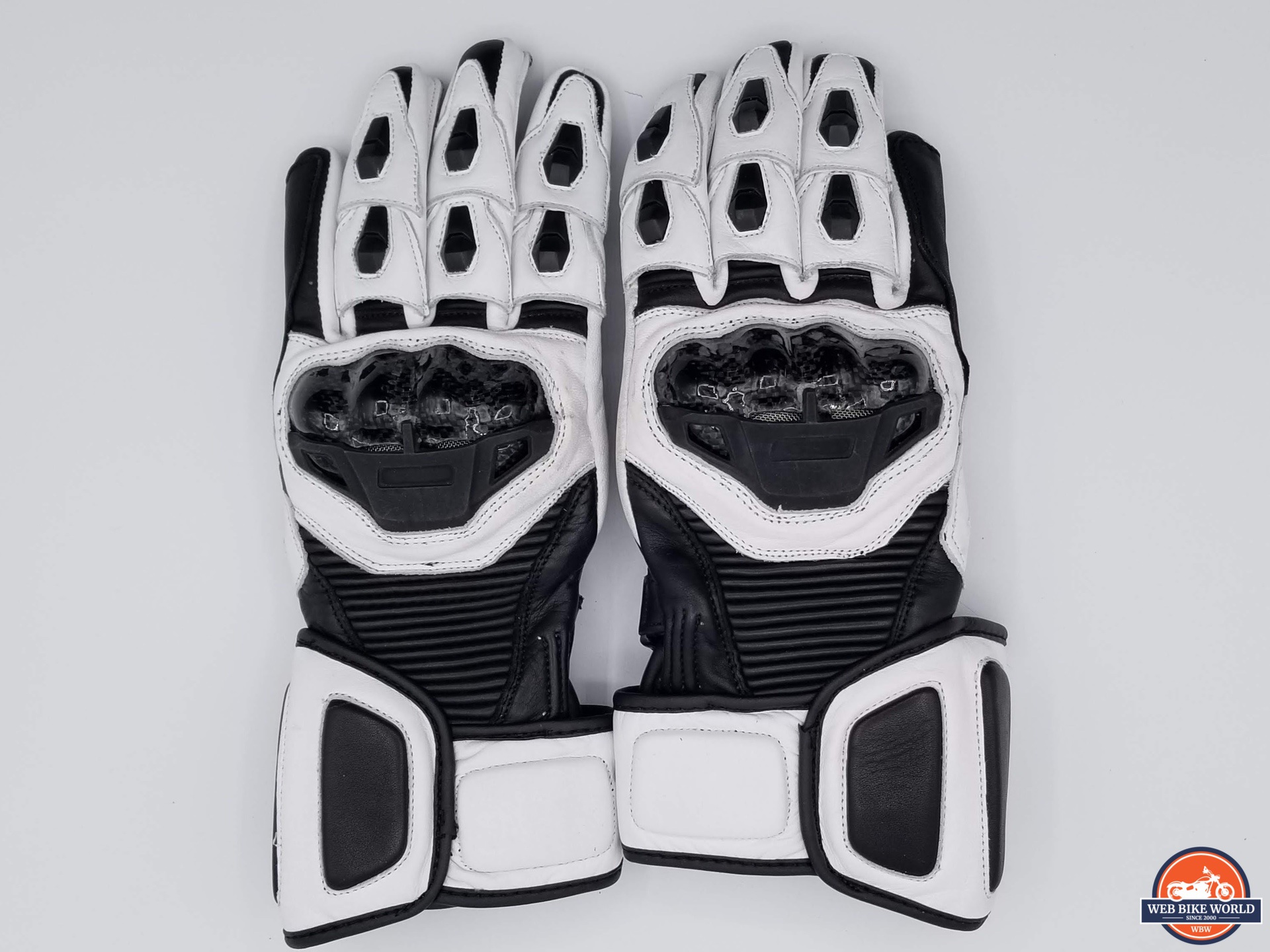 Back of hands on Raven Moto Storm gloves