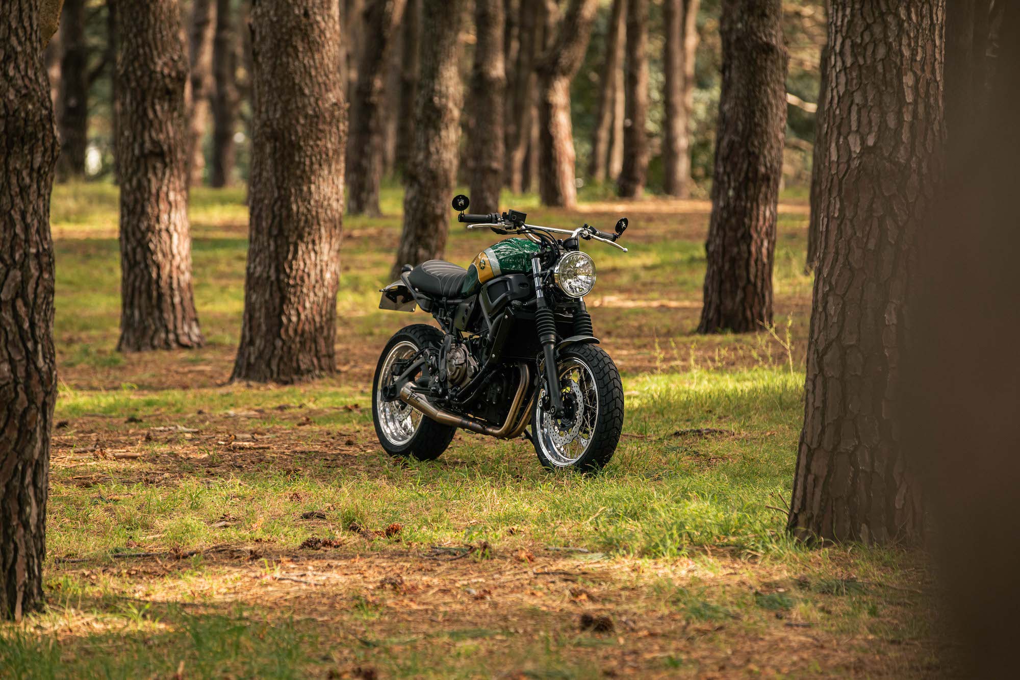 ‘The Forager,’ A Classic XSR700 from the Shop of Deus Ex Machina. Media sourced from Deus Ex Machina.