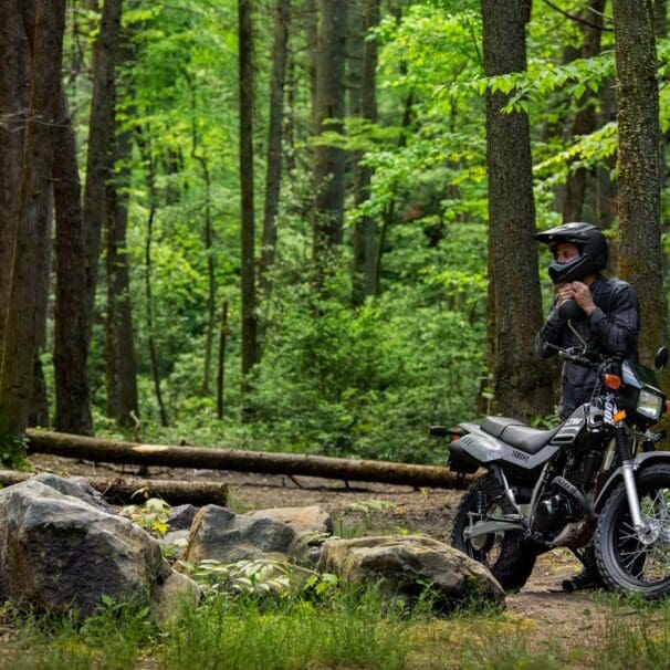 A Yamaha bike and rider in the forest. Media sourced from Top Speed.