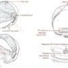 Diagram showing components for Sena Impulse Modular Smart Helmet