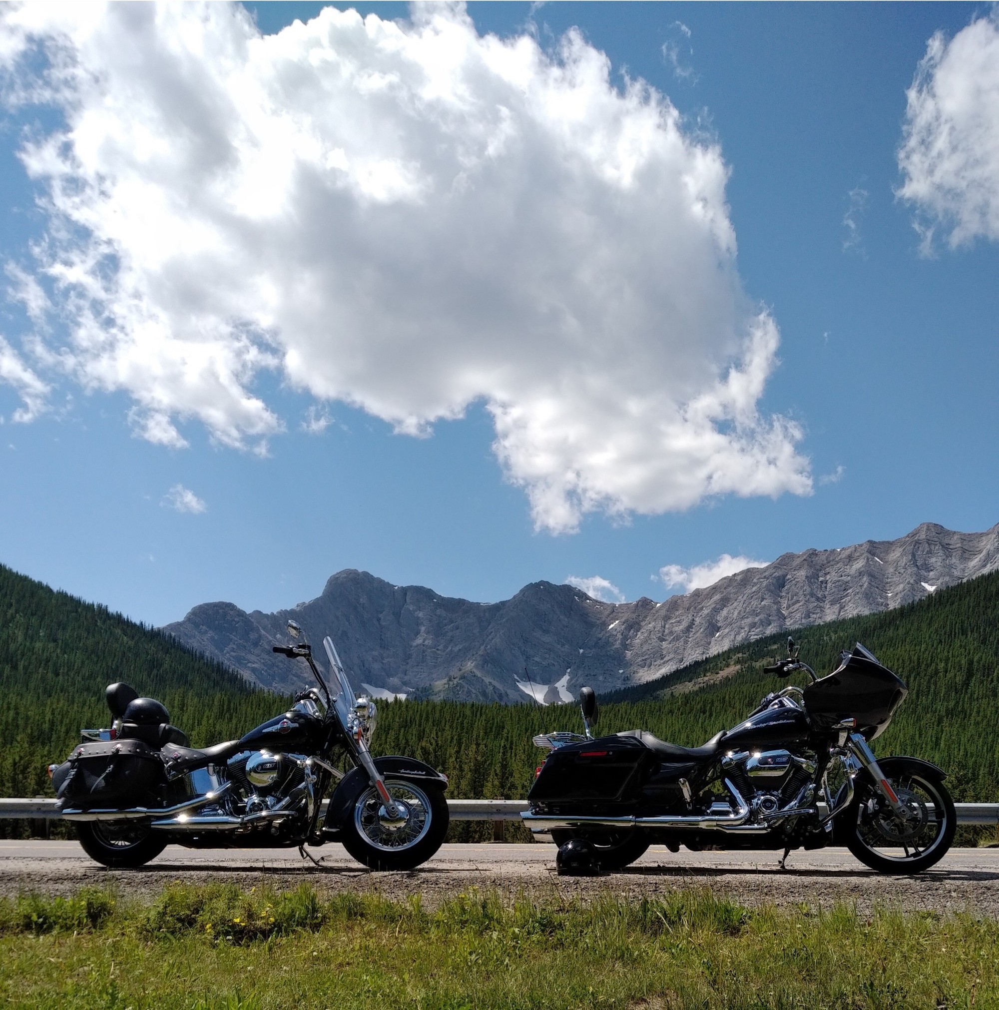 Two Harley bikes. Media sourced from Harley's website.