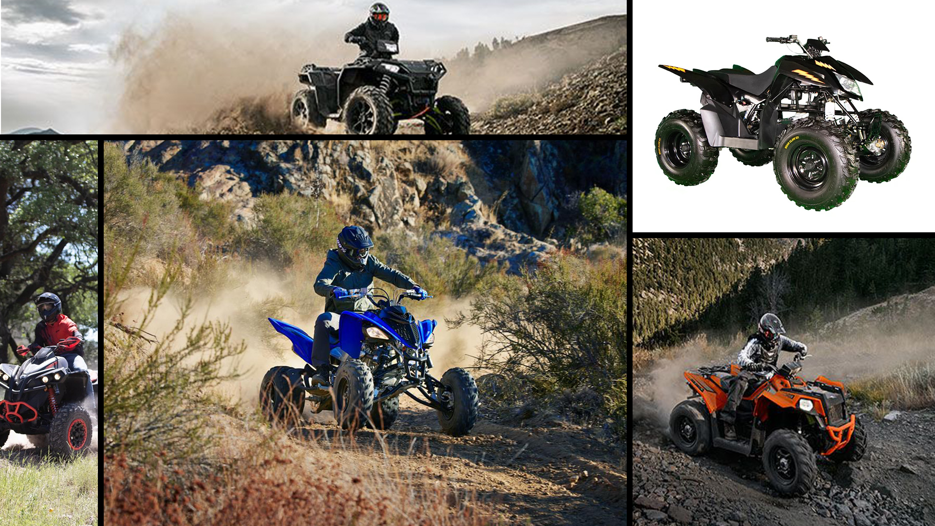 autor Lo siento escándalo These Are the Fastest Stock ATVs You Can Buy