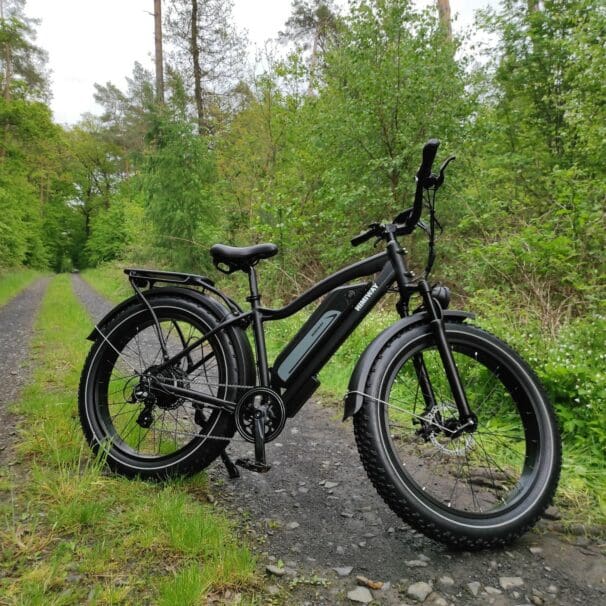 Himiway All Terrain Cruiser Review