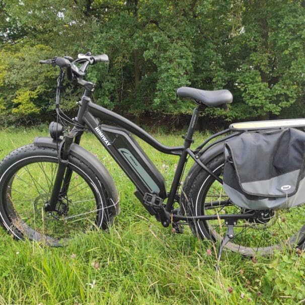 2021 Himiway All-Terrain Cruiser parked in grassy field