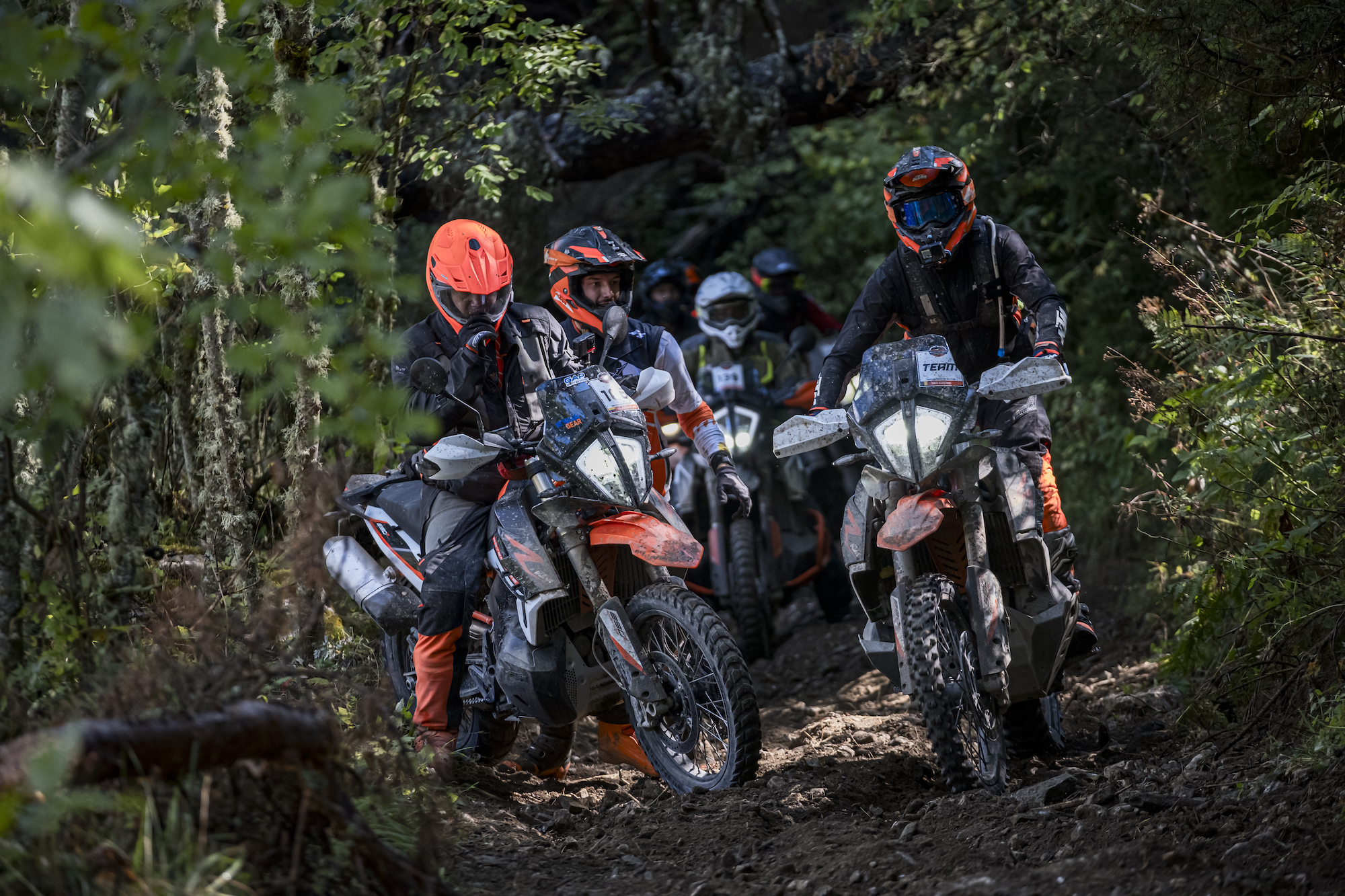 KTM's recent Adventure Rally Events. Media sourced from KTM.