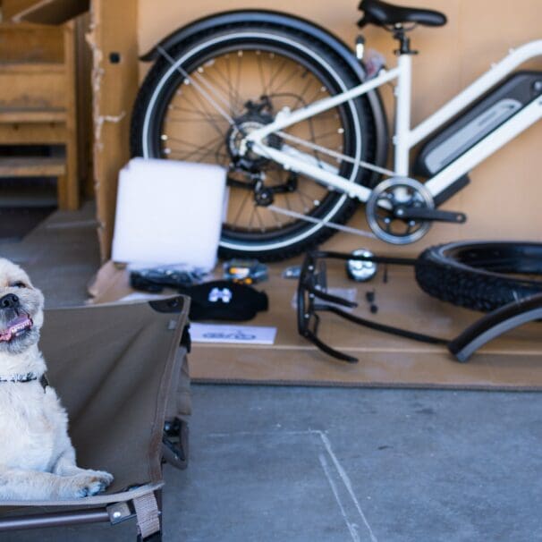 Cutie doggo in front of 2021 Himiway Cruiser Step-Thru