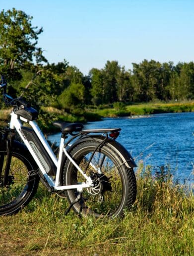 2021 Himiway Cruiser Step Thru