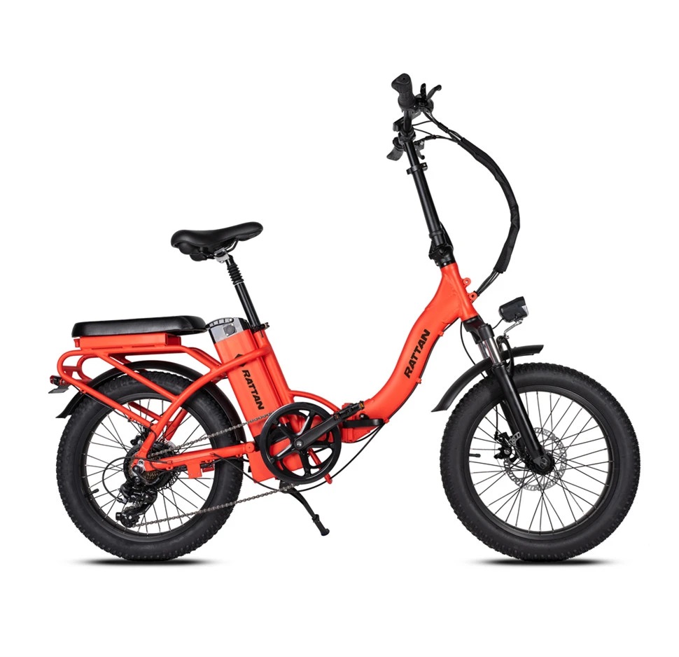 Rattan LF 500 W Mini Fat Tire ebike