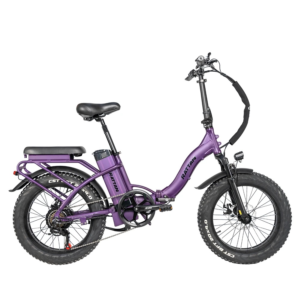 Rattan LF 750 W Fat Tire ebike