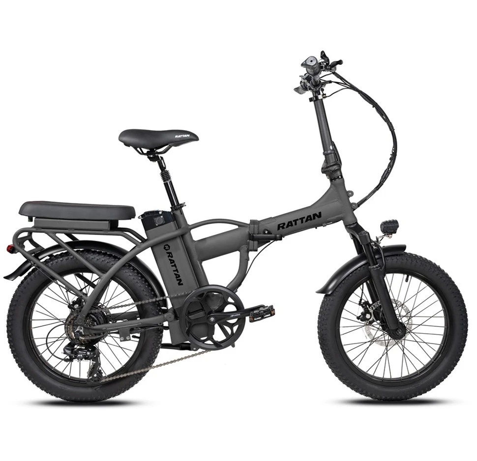 Rattan LM 500 W Mini Fat Tire ebike