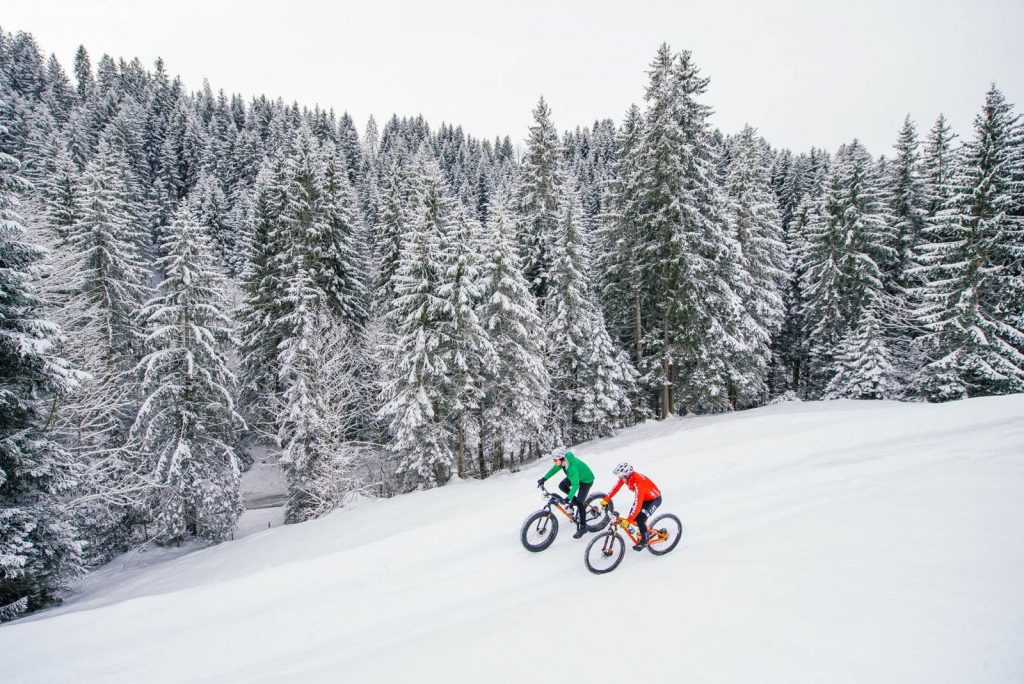Two people ride their electric mountain bikes through the forest in heavy snow
