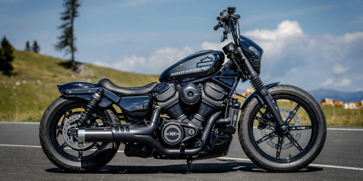 Harley's Nightster, of which we hear there will be a 'Special' variant. Media sourced from Thunderbike.