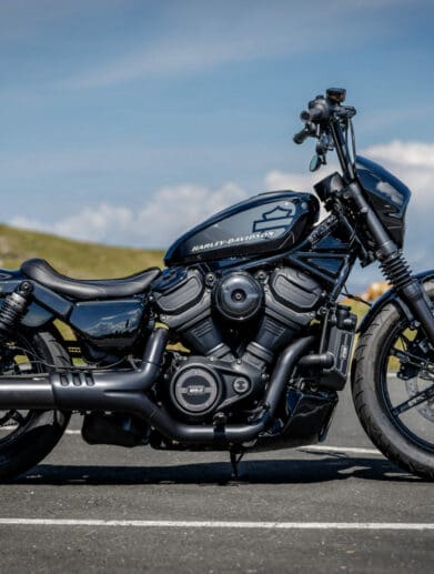 Harley's Nightster, of which we hear there will be a 'Special' variant. Media sourced from Thunderbike.