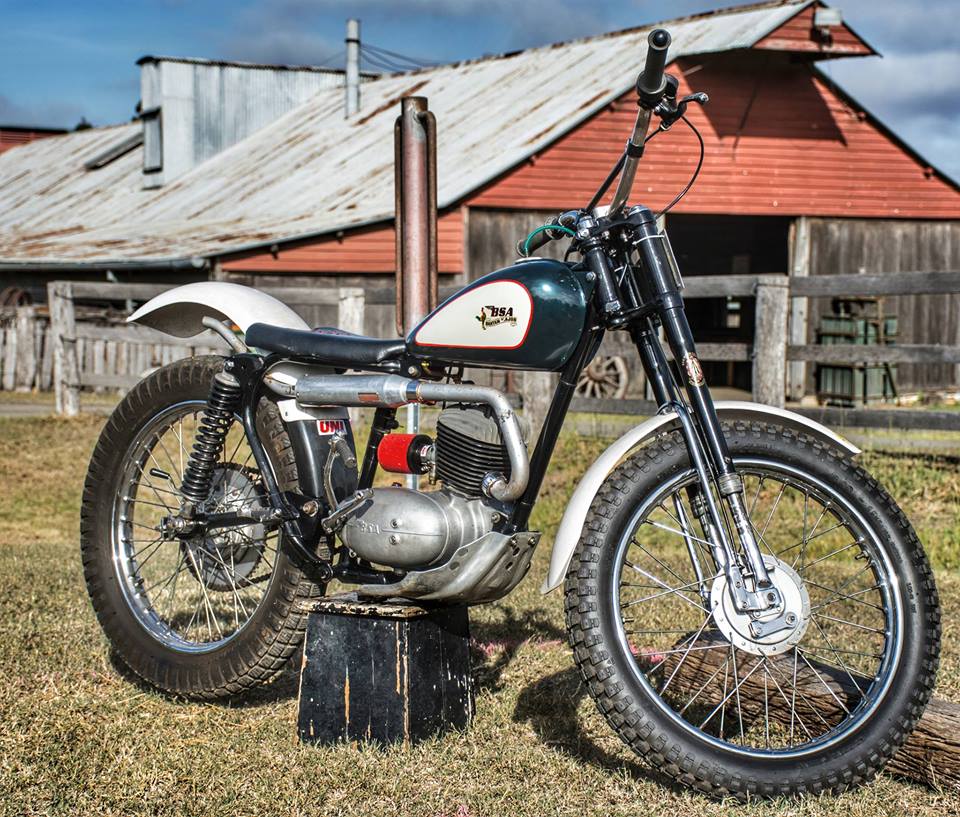 Packed program for Woolshed Classic