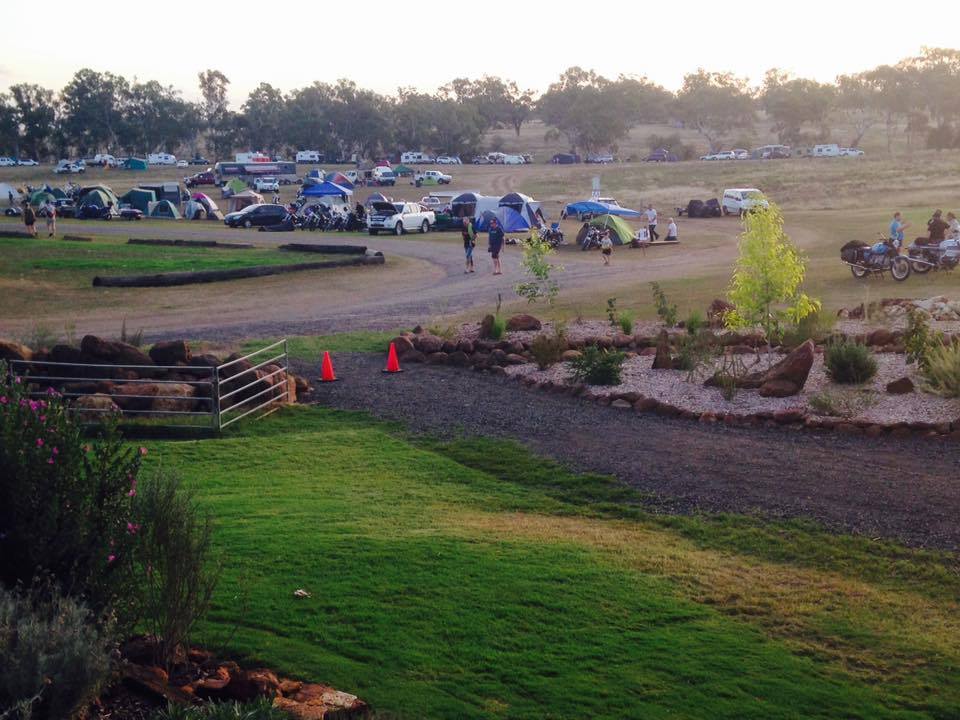 Packed program for Woolshed Classic