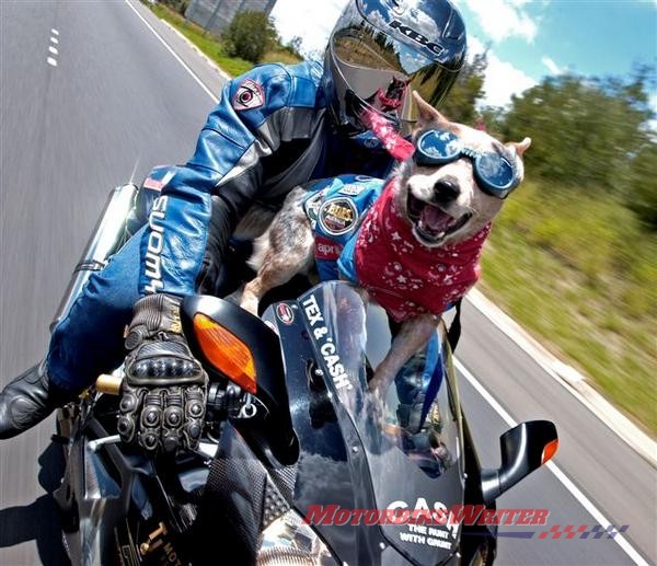 Tex and Bundy charity motorcycle riding couple