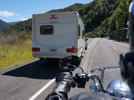 Kiwi drivers