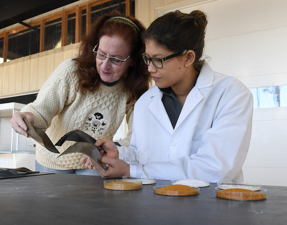 Researchers Katrina Cornish and Cindy Barrera Motorcyclists riding on egg shells?