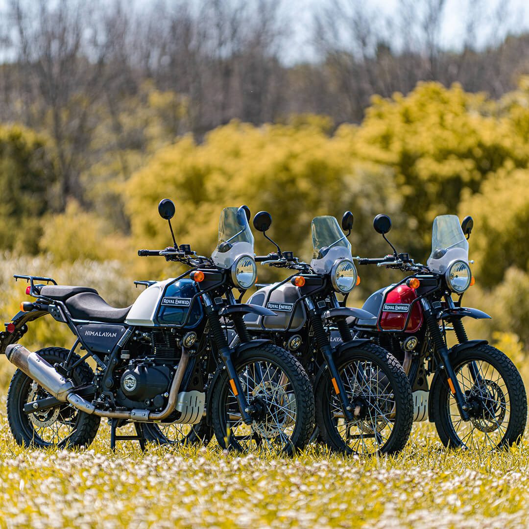 2020 Royal Enfield Himalayan models lined up next to each other