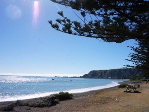 Kaikoura Beach transport stage