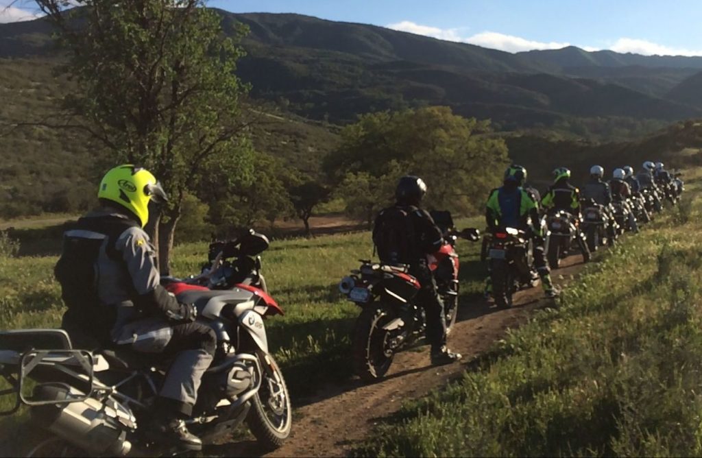 a back right view of a lineup of motorcyclists