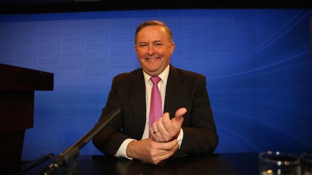 Labor infrastructure spokesman Anthony Albanese