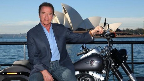Arnie s Terminator 2 Fat Boy sells at auction webBikeWorld