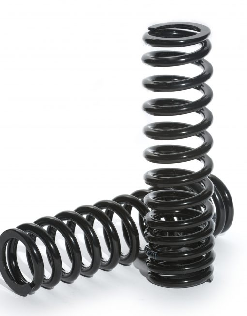 Ikon progressive fork springs