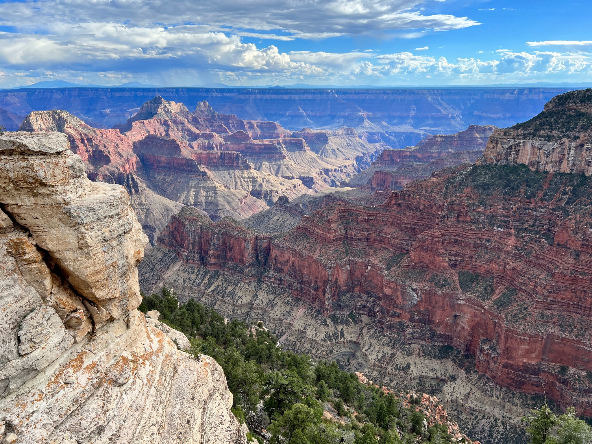 The north rim of the Grand Canyon in Arizona was a beautiful sight to see.