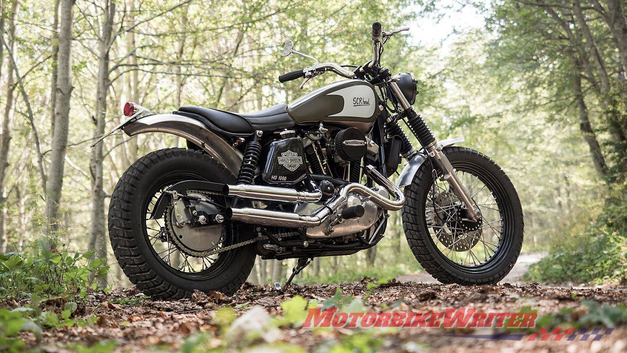 Custom Harley-Davidson  - Sportster scrambler